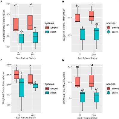 Identification of Putative Markers of Non-infectious Bud Failure in Almond [Prunus dulcis (Mill.) D.A. Webb] Through Genome Wide DNA Methylation Profiling and Gene Expression Analysis in an Almond × Peach Hybrid Population